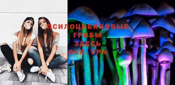 mdpv Бугульма