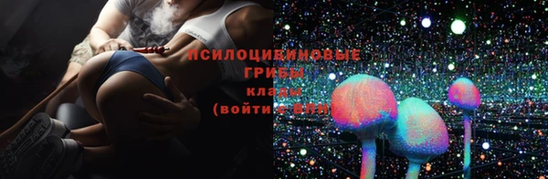 MESCALINE Бородино